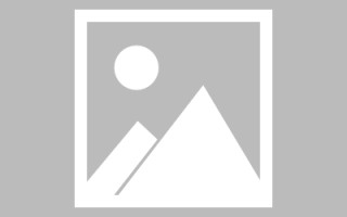 盐城网页设计英文默认字体（网页设置英文转换中文）